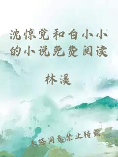 沈驚覺和白小小的小說免費閱讀