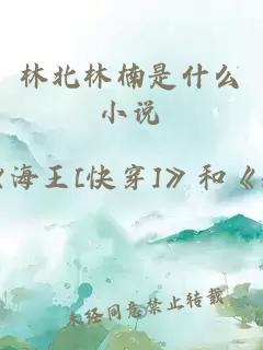 林北林楠是什么小說