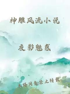 神雕風流小說