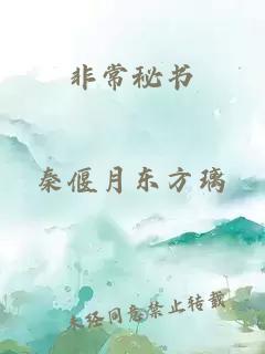 非常秘書