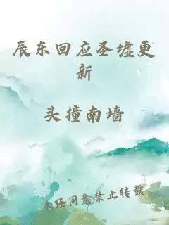 辰東回應(yīng)圣墟更新