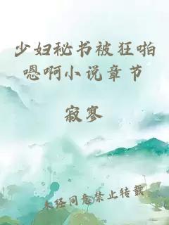 少婦秘書被狂啪嗯啊小說章節(jié)