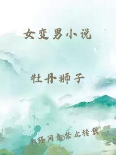 女變男小說