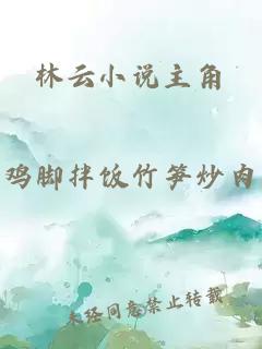 林云小說主角