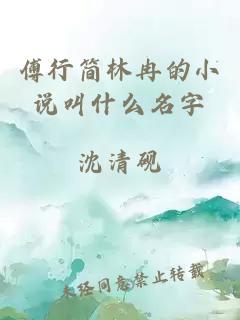 傅行簡林冉的小說叫什么名字