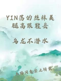 YIN蕩的絲襪美腿高跟鞋岳