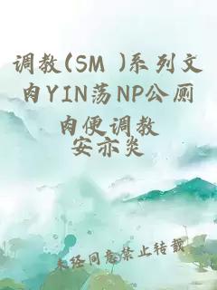 調教(SM )系列文肉YIN蕩NP公廁肉便調教