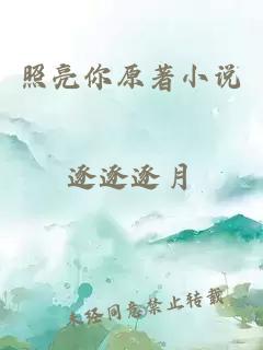 照亮你原著小說