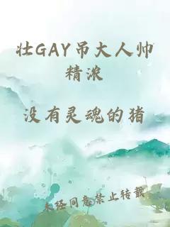 壯GAY吊大人帥精濃