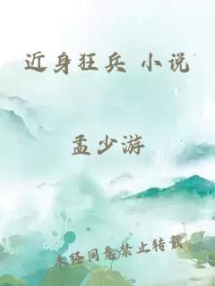 近身狂兵 小說