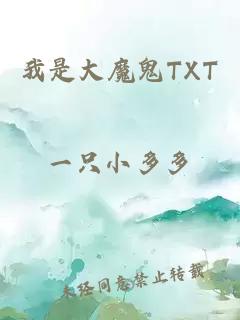 我是大魔鬼TXT