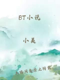 BT小說