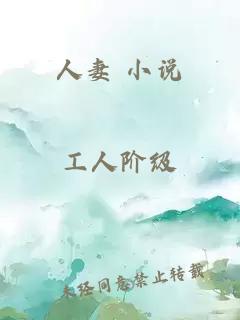 人妻 小說(shuō)