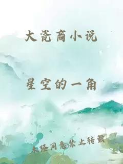 大瓷商小說