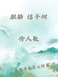 麒麟 桔子樹