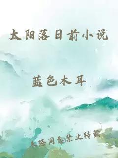 太陽落日前小說