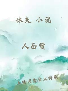 休夫 小說