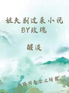 姐夫別過(guò)來(lái)小說(shuō)BY玫瑰