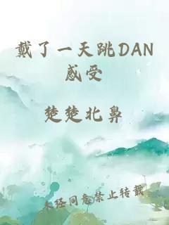 戴了一天跳DAN感受