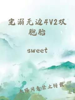 寵溺無邊4V2雙胞胎