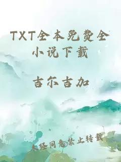 TXT全本免費全小說下載