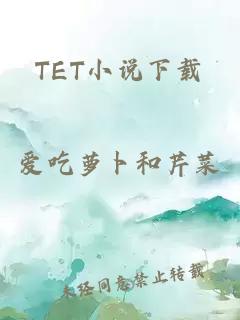 TET小說下載