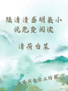 陸清清盛明羲小說免費(fèi)閱讀