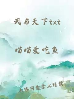 武布天下txt