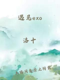 遇見exo