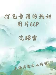 打飛專用的熟婦圖片66P