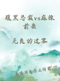 腹黑總裁vs麻辣前妻