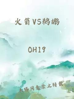 火箭VS鵜鶘