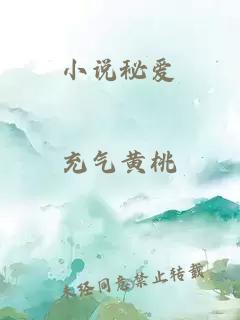 小說秘愛