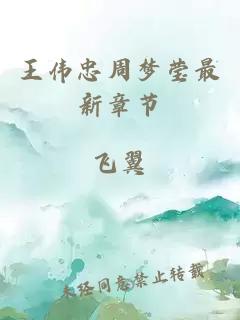 王偉忠周夢(mèng)瑩最新章節(jié)