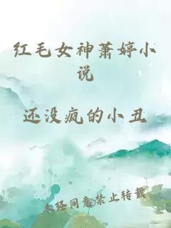 紅毛女神蕭婷小說