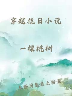 穿越抗日小說