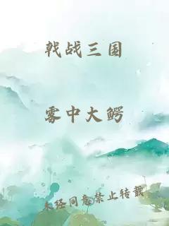 戟戰(zhàn)三國(guó)