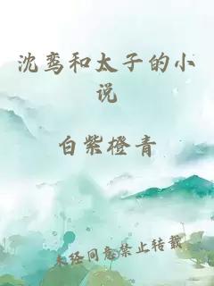 沈鸞和太子的小說