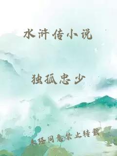 水滸傳小說