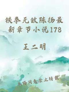 鐵拳無敵陳揚最新章節小說178