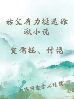 姑父有力挺送徐湫小說