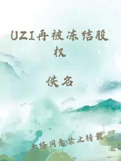 UZI再被凍結股權