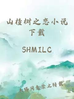 山楂樹(shù)之戀小說(shuō)下載