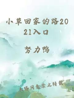 小草回家的路2021入口