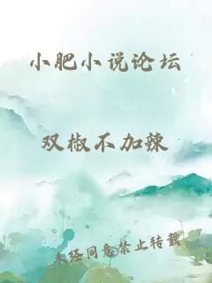 小肥小說(shuō)論壇