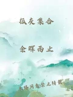 抓灰集合