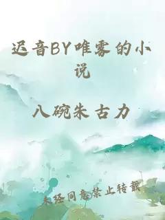 遲音BY唯霧的小說