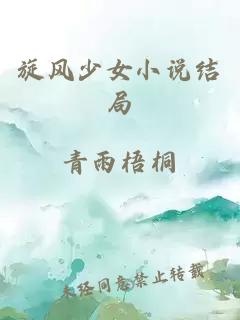 旋風少女小說結(jié)局