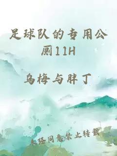 足球隊(duì)的專用公廁11H