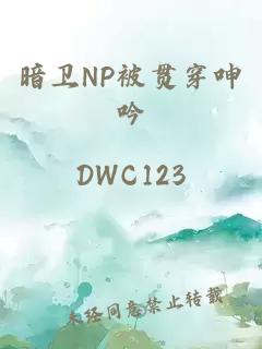 暗衛(wèi)NP被貫穿呻吟